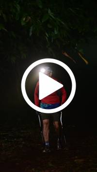 BIB:  <button type="button" onclick="openModal(27808711)" class="btn btn-primary btn-sm float-right" data-toggle="modal" data-target=".modal-high-quality">
                <i class="fa fa-download"></i> Download
                </button>